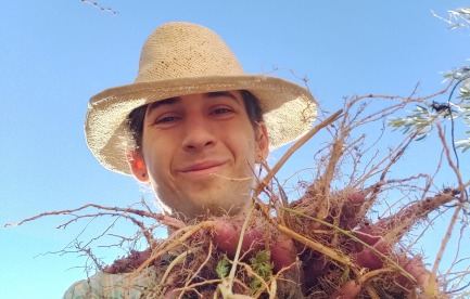 Farmer holding a bunch of pink carrots, smiling