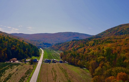 Leaning Barn VT *  Bristol
