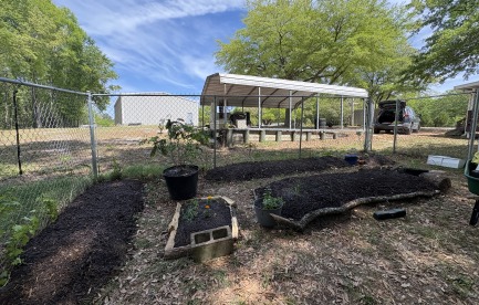 Hugelkultur Beds