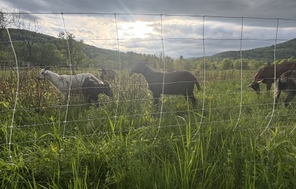 Evening checks