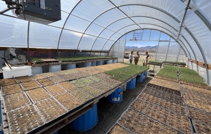 Greenhouse 