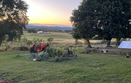 Yard & Garden Image