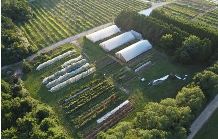 Current Farm