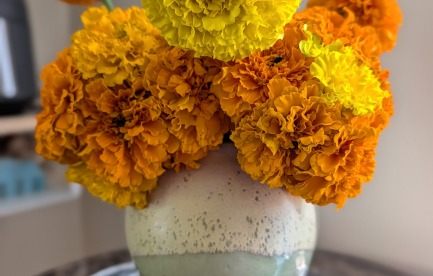African Marigolds in wheel thrown vase