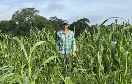 Standing in a planted crop