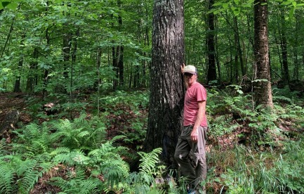 Jeremy in his family's forest, Randolph, VT
