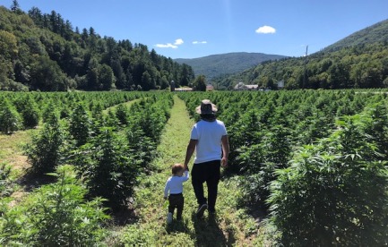 40 acres of Hemp I planted and harvested by hand in 2019 
