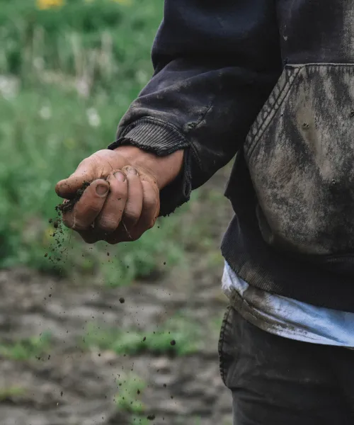 Dirt in hand