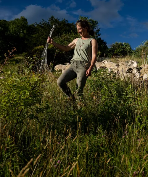 Smiling woman moving an electric fence in a field while sheep run by.