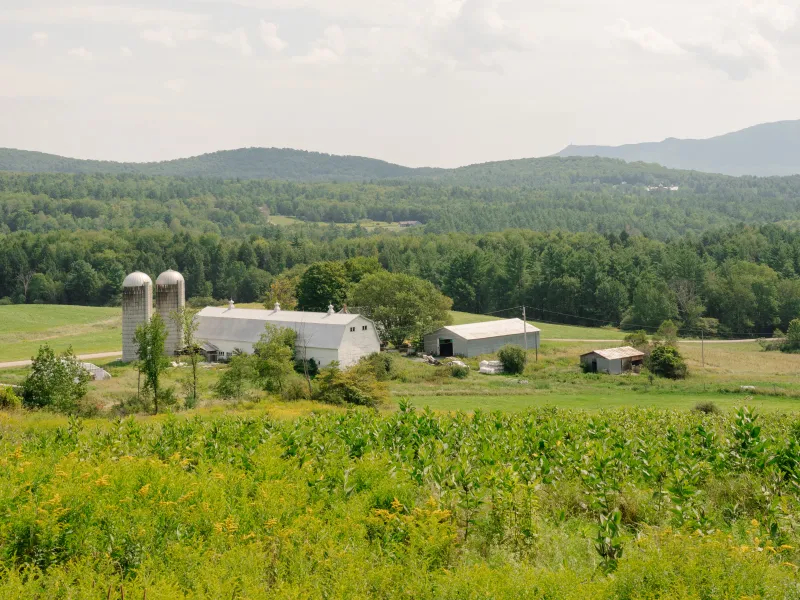 farm
