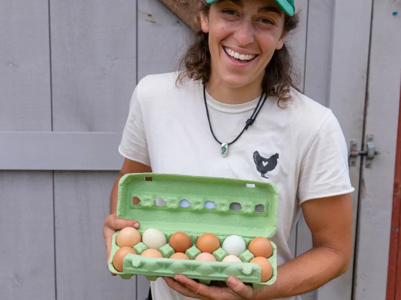 eggs