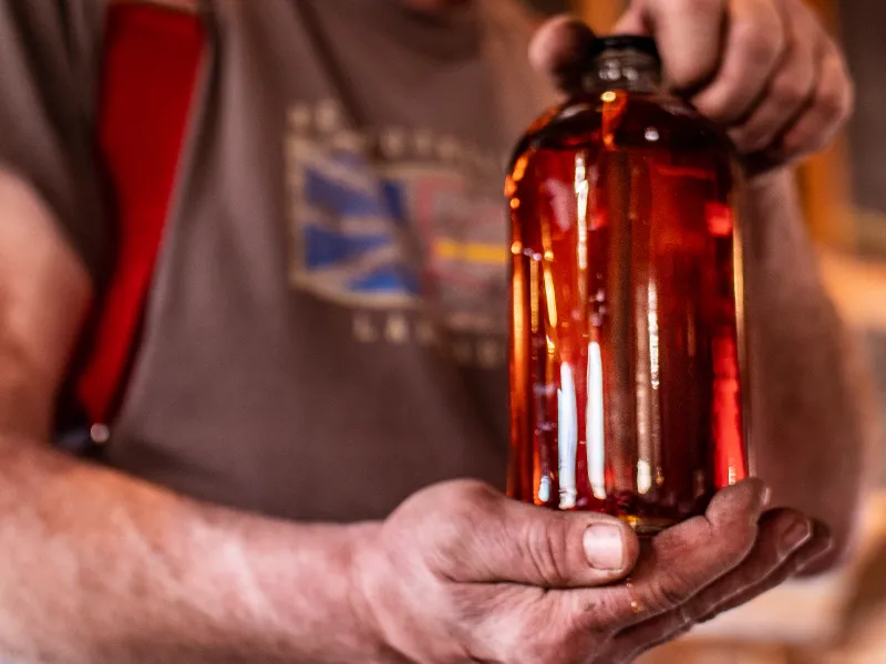 maple syrup