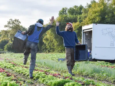 farmers high fiving in field