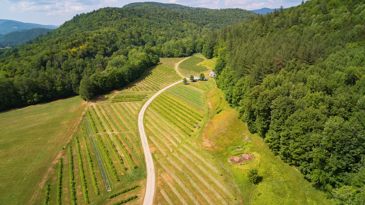 Aerial looking north