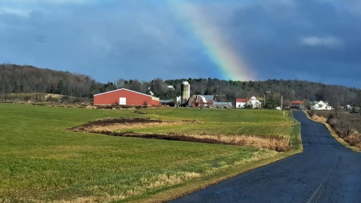 Looking up the front meadow to the farm