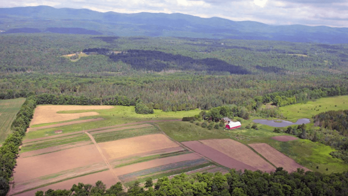 aerial view of agricultural land and a portion of forest