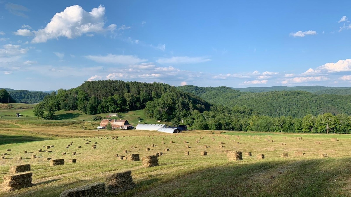 Hay fields