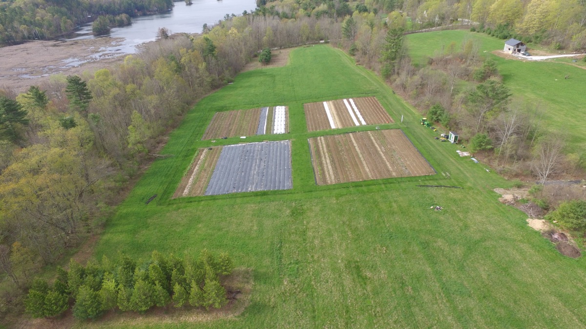 Aerial view of garden, pastures, and Lake Hortonia
