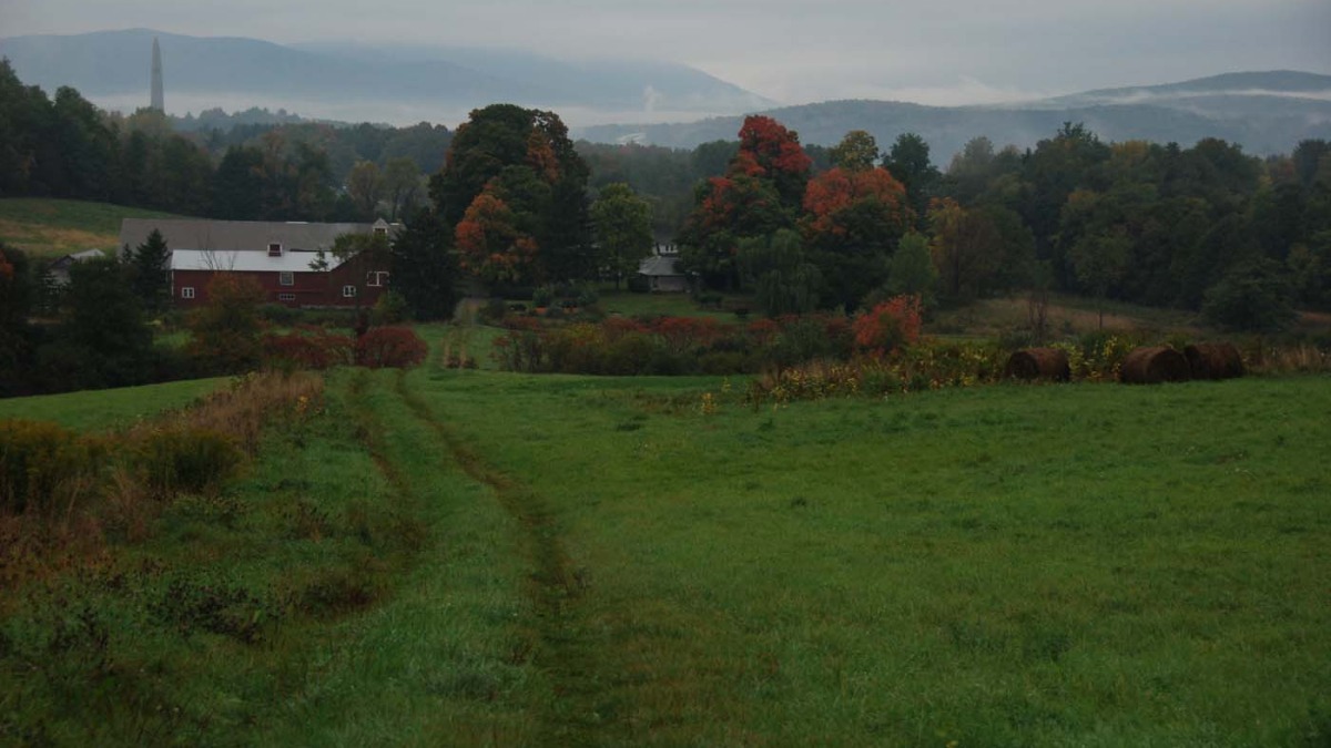 Barn Complex looking north