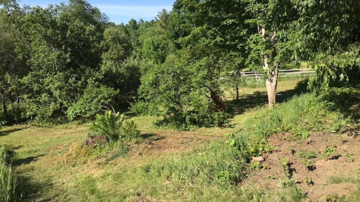 Future site of the "Giving Garden"