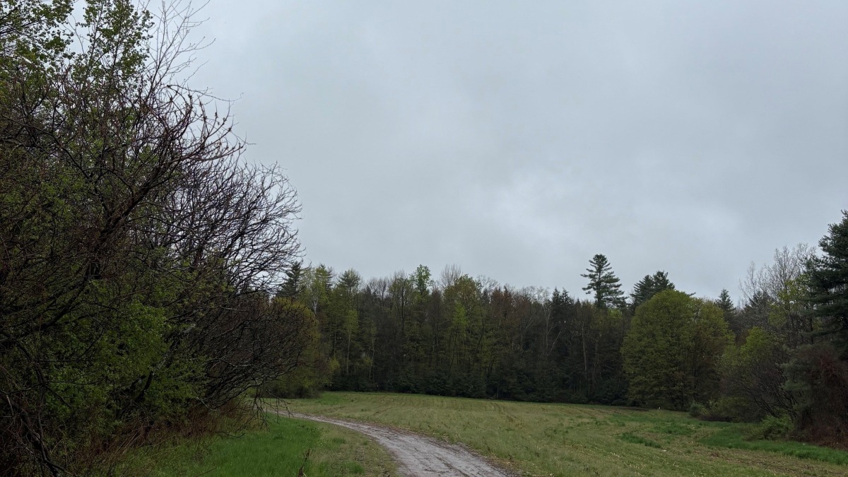 Farm road