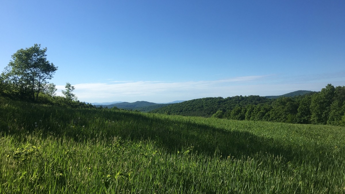 We have additional 60 acres not included in listing. Most land has slopes, views are beautiful, it does tend to be windy due to exposure