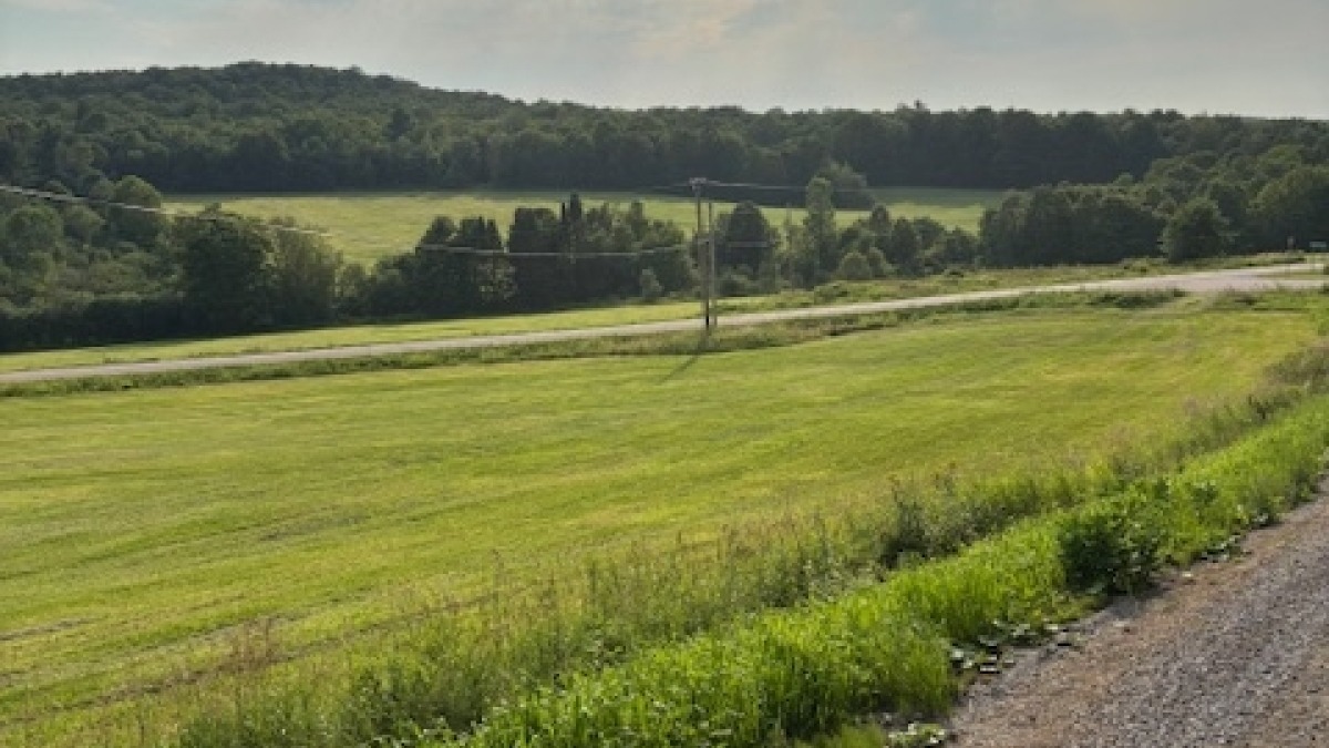 Open fields 