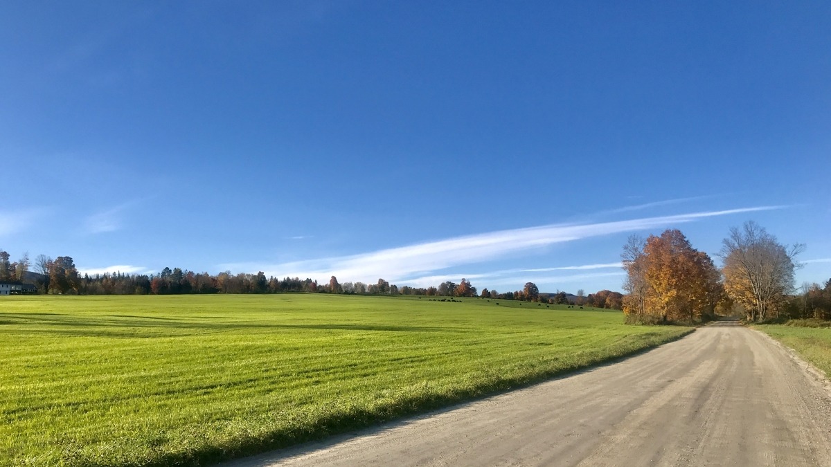 One of Badger Brook's fields