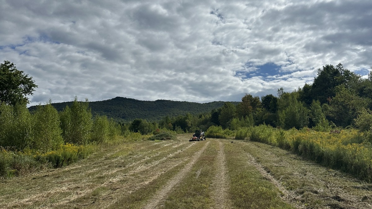 Grazing land/ orchard 