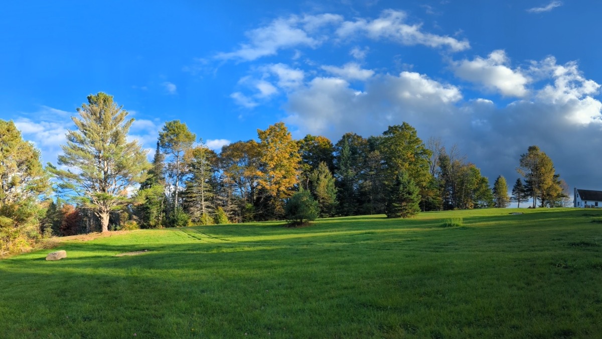Side Pasture ~2 acres