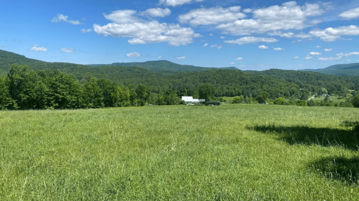 Pecor Farm Property