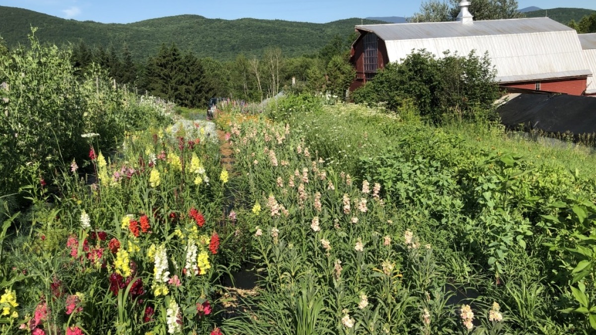 view of fields and barn