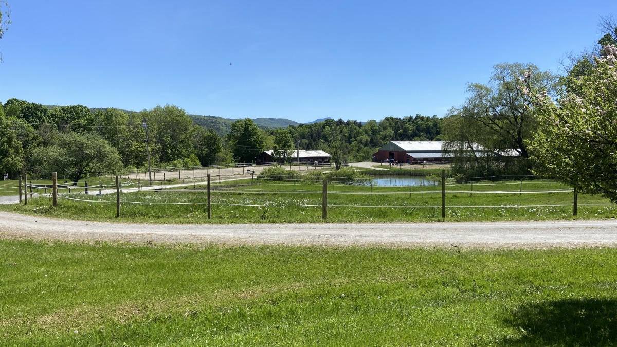 equine complex and paddocks