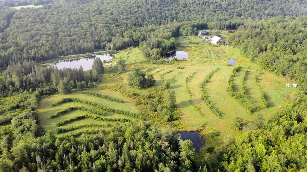 Aerial shot of fields