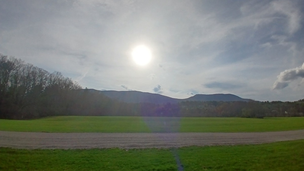 One of our favorite fields in Southern Vermont. 