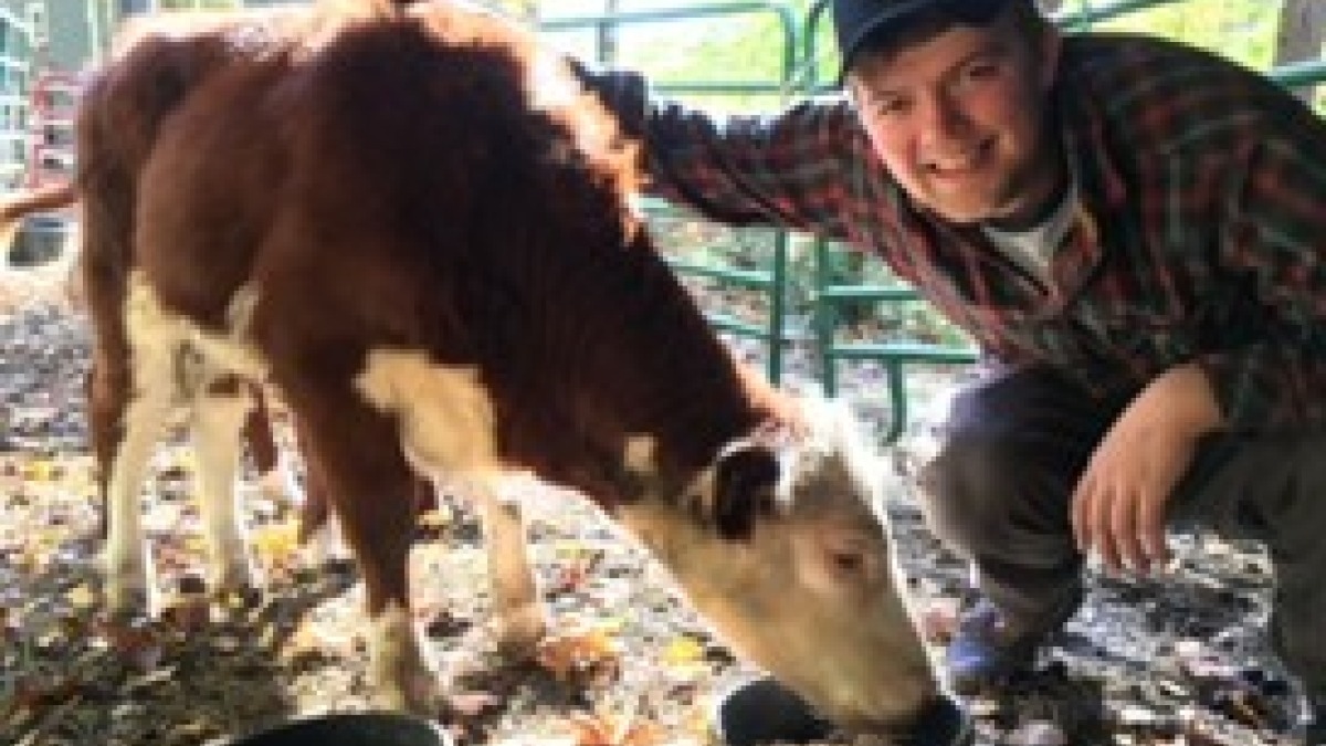 Lachlan with one of the calves we raised