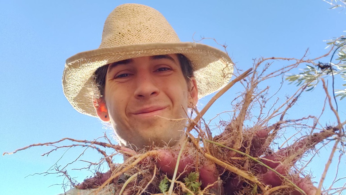 Farmer holding a bunch of pink carrots, smiling