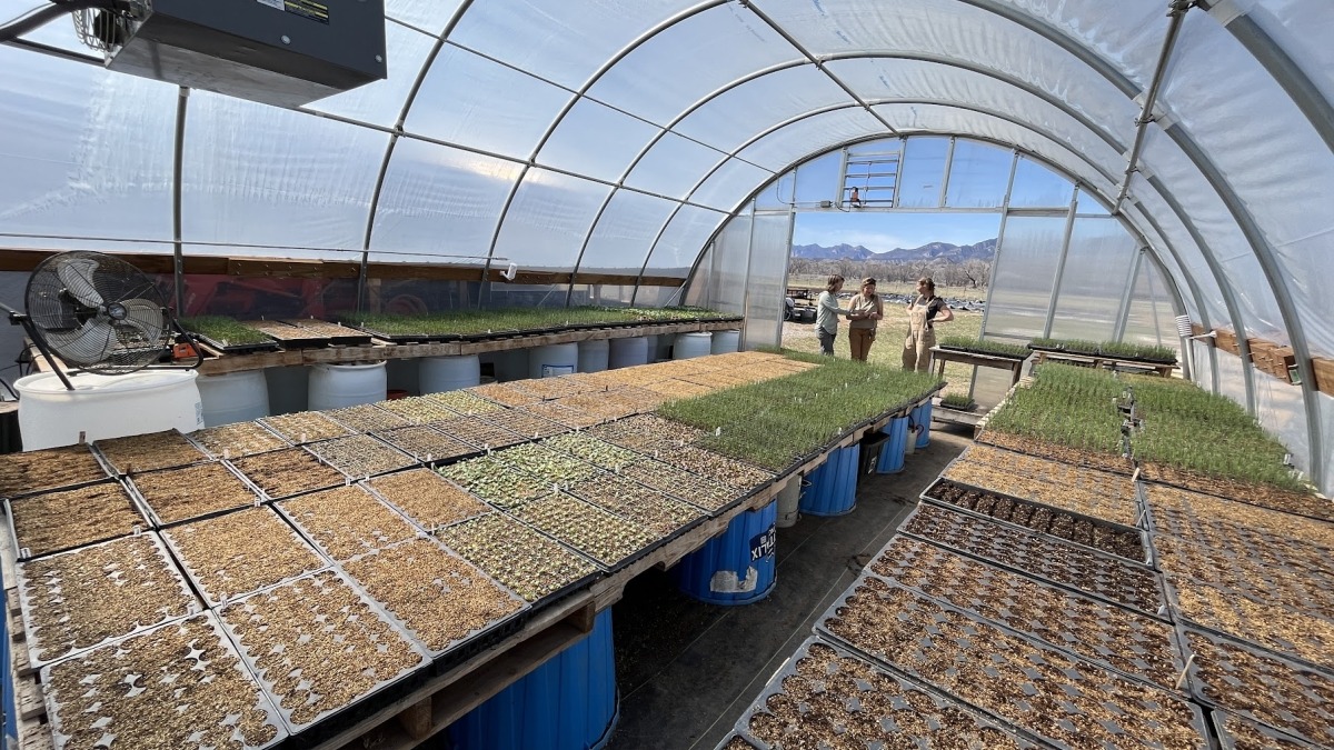 Greenhouse 
