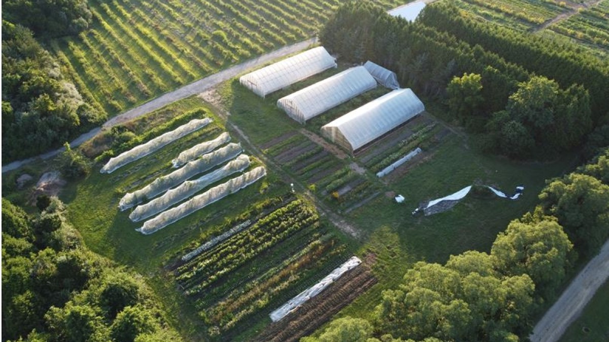 Current Farm