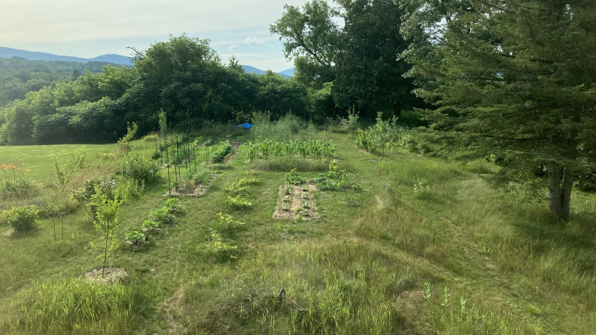 This is the current property I am growing on and rehabilitating.