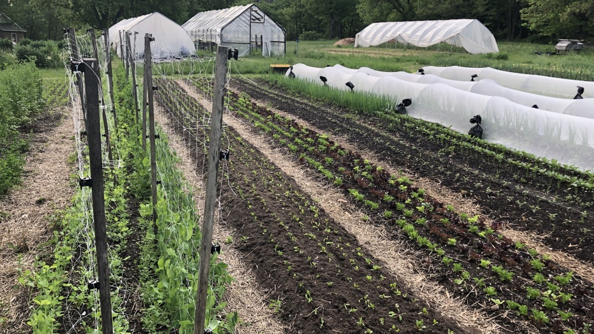 photo of current farm operation