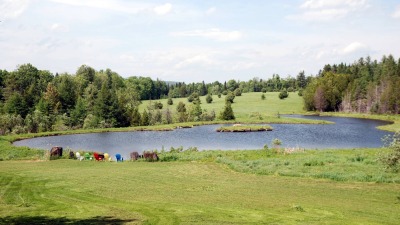pond