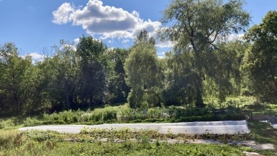 1/4 acre under production