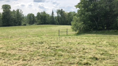 Back grazing fields