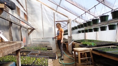 Propagation greenhouse