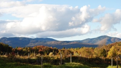 View looking east from pasture