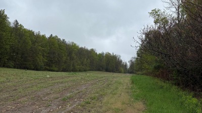 North field