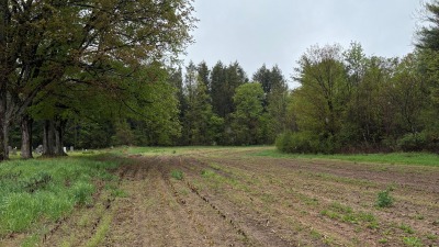 Southern field
