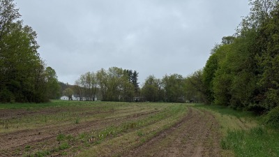 Southern Field