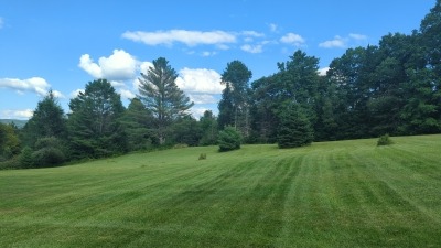 Side Pasture ~2 acres